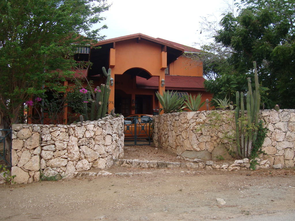 Fuego Mio Bed & Breakfast Santa Cruz Exterior photo